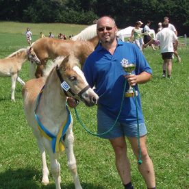 Baslinger und ein Haflinger